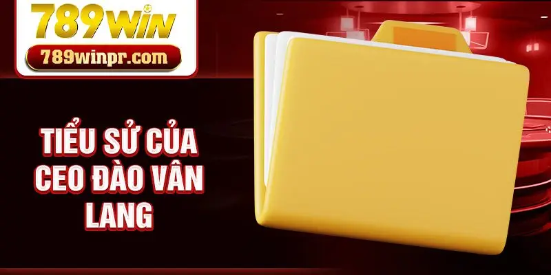 Tiểu sử của CEO Đào Vân Lang