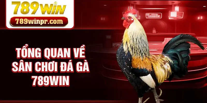 Tổng quan về sân chơi đá gà 789win