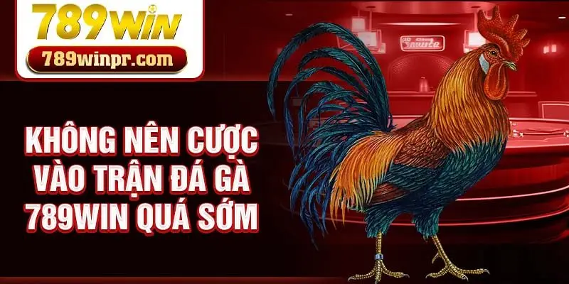 Không nên cược vào trận đá gà 789win quá sớm