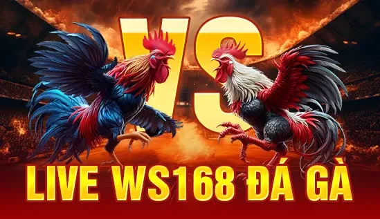 Live đá gà ws168