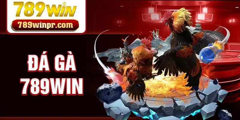 Đá gà 789win
