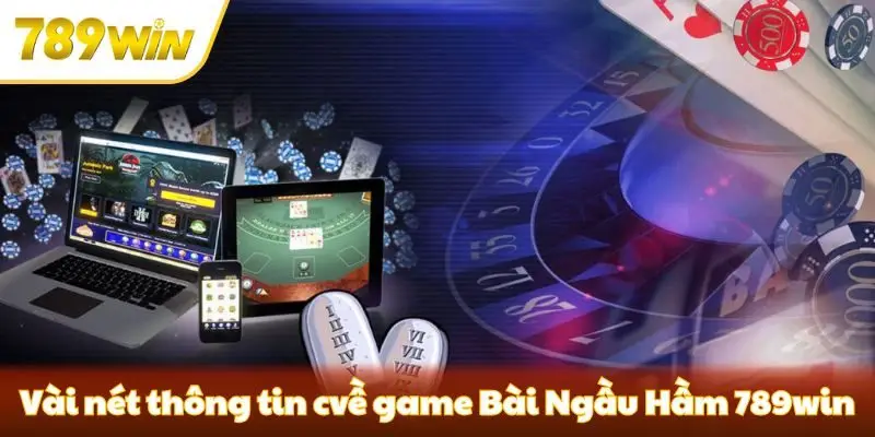 Vài nét thông tin cơ bản về game Bài Ngầu Hầm 789win