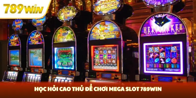 Học hỏi cao thủ để chơi Mega Slot 789win