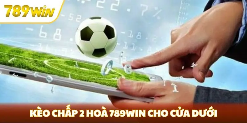 Kèo chấp 2 hoà 789win cho cửa dưới