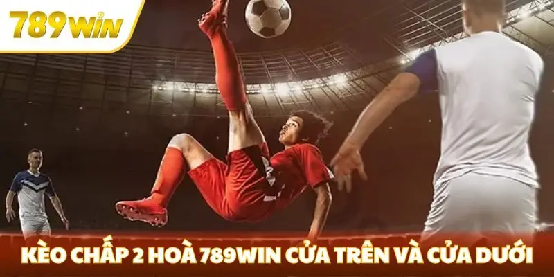Kèo chấp 2 hoà 789win cửa trên và cửa dưới