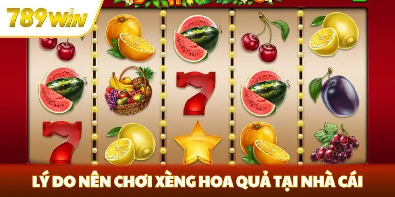 Lý do nên chơi Xèng Hoa Quả tại nhà cái